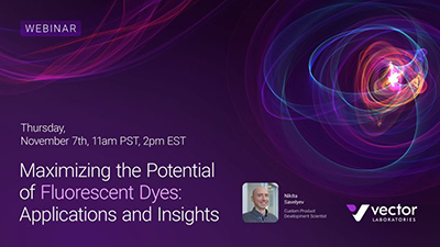 Vector Maximizing Potential Fluorescent Dyes Webinar Banner Nov 7 2024